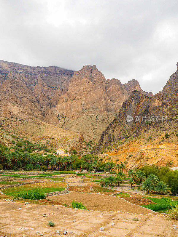 阿曼Wadi Bani Awf山区的Bilad Sayt村